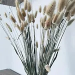 Cosy Et Chaleureux Proche Des Grandes Entreprises Toulousaine Appartement