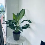 Cosy Et Chaleureux Proche Des Grandes Entreprises Toulousaine Appartement