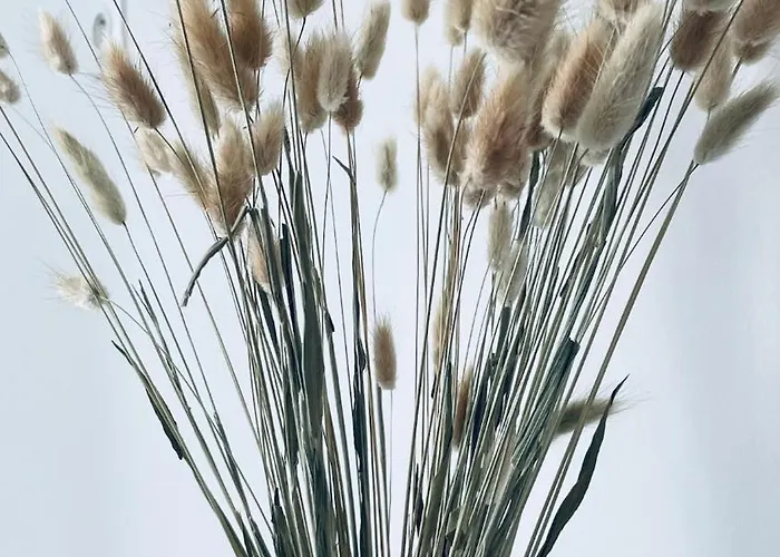 Cosy Et Chaleureux Proche Des Grandes Entreprises Toulousaine Lägenhet