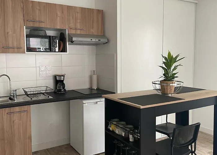 Cosy Et Chaleureux Proche Des Grandes Entreprises Toulousaine Colomiers