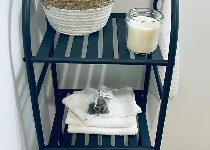 Cosy Et Chaleureux Proche Des Grandes Entreprises Toulousaine Lägenhet *