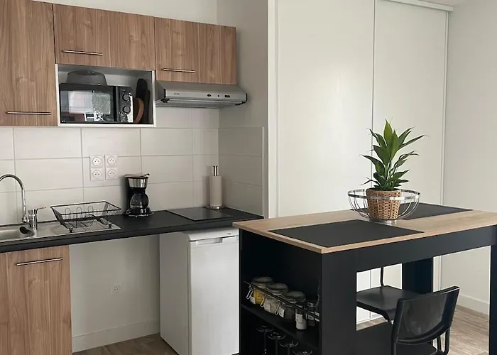 Cosy Et Chaleureux Proche Des Grandes Entreprises Toulousaine Lägenhet *