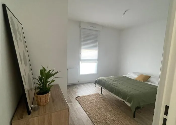 Cosy Et Chaleureux Proche Des Grandes Entreprises Toulousaine Lägenhet *