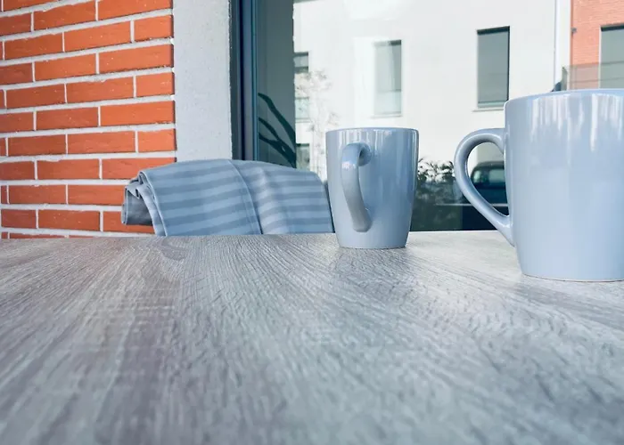 Cosy Et Chaleureux Proche Des Grandes Entreprises Toulousaine Lägenhet Colomiers