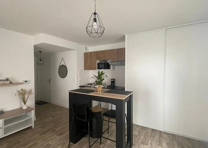 Lägenhet Cosy Et Chaleureux Proche Des Grandes Entreprises Toulousaine Colomiers