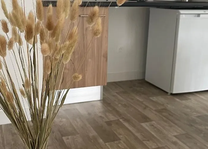 Cosy Et Chaleureux Proche Des Grandes Entreprises Toulousaine Colomiers