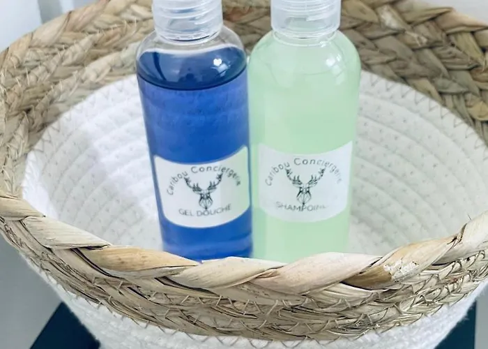 Cosy Et Chaleureux Proche Des Grandes Entreprises Toulousaine Lägenhet *