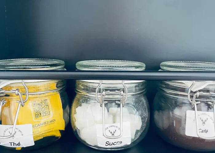 Appartement Cosy Et Chaleureux Proche Des Grandes Entreprises Toulousaine *